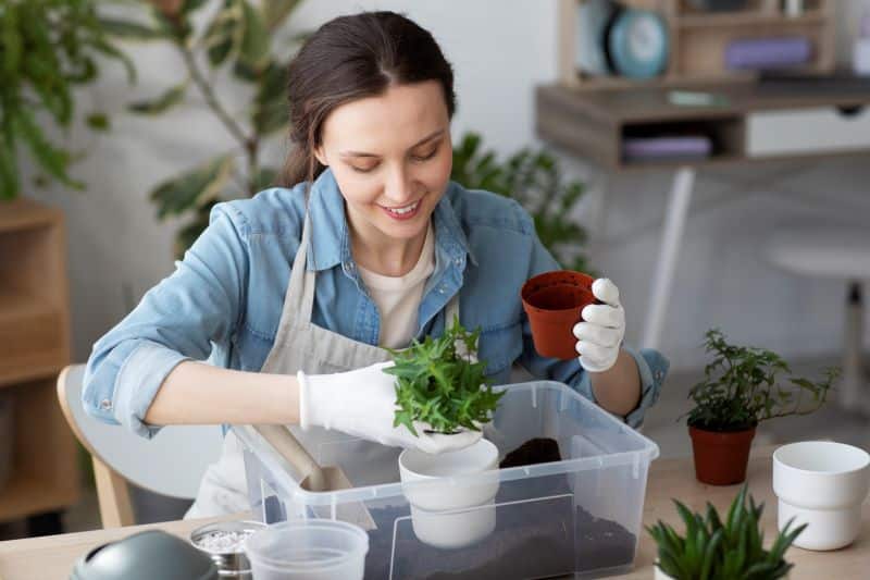 Cursos De Jardinería Para Todos Los Niveles Aprende A Cuidar Tus