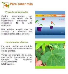 5 recursos para aprender Botánica en Secundaria 4