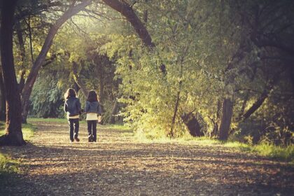 Claves Para Que Tus Alumnos Emprendan El Camino Hacia La Felicidad 1