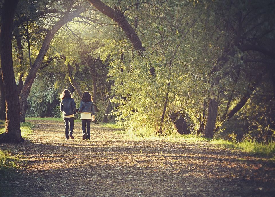 Claves Para Que Tus Alumnos Emprendan El Camino Hacia La Felicidad 1