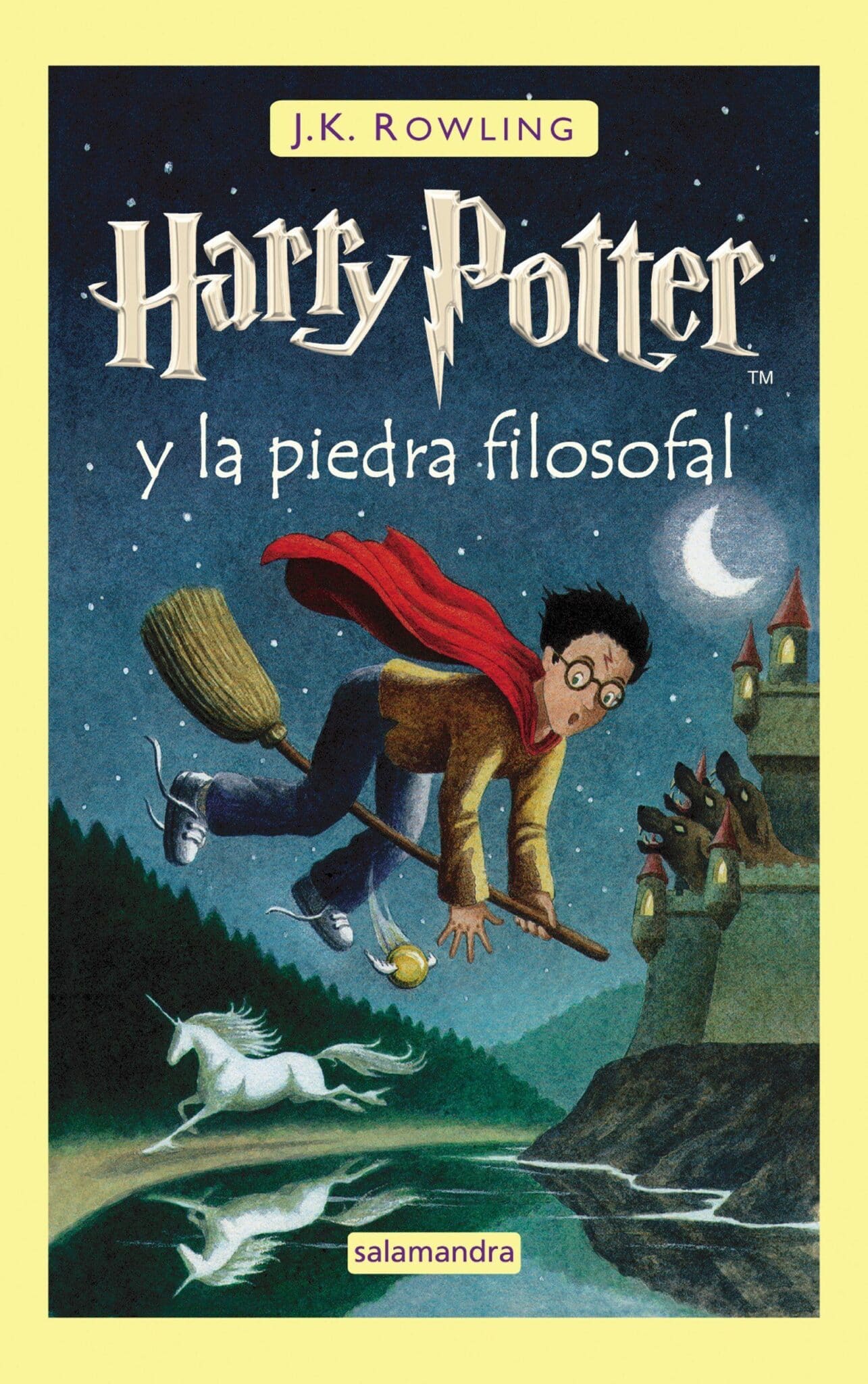 Harry Potter Libro Scaled 1