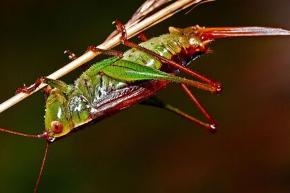 ¡Vuelta Al Cole! Ideas Para La Asignatura De Biología