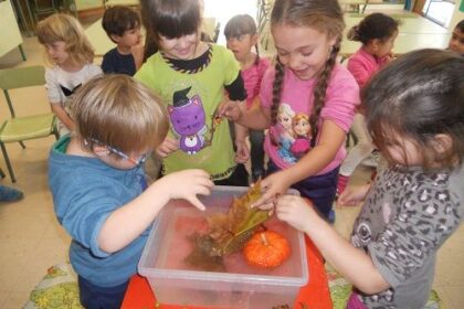 Aprender Ciencias En Inglés A Través Del Método Científico