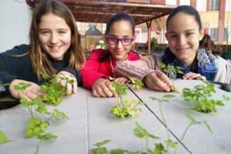 Cuando Los Peces Alimentan A Las Plantas: Un Proyecto Escolar De Aquaponia 1