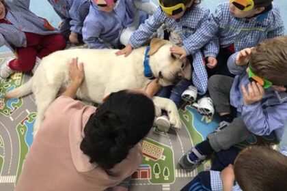 Educación Emocional Asistida Con Perro En Escuelas Infantiles 1