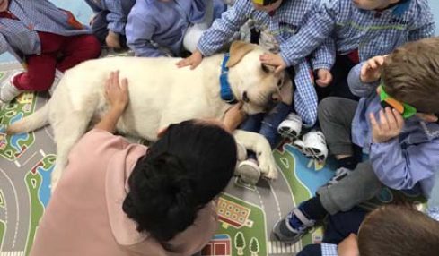 Educación emocional asistida con perro en escuelas infantiles 1