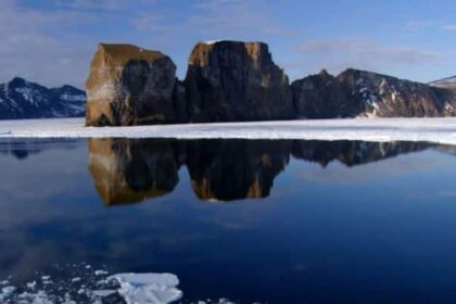 Documentales De Ciencias Naturales