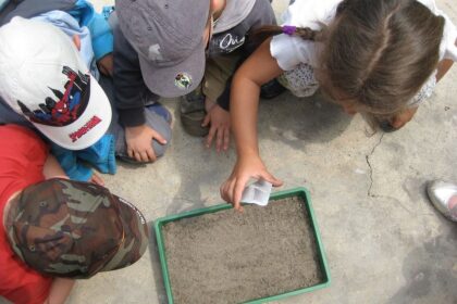 La Educación Ambiental: ¿Una Asignatura Más? 1