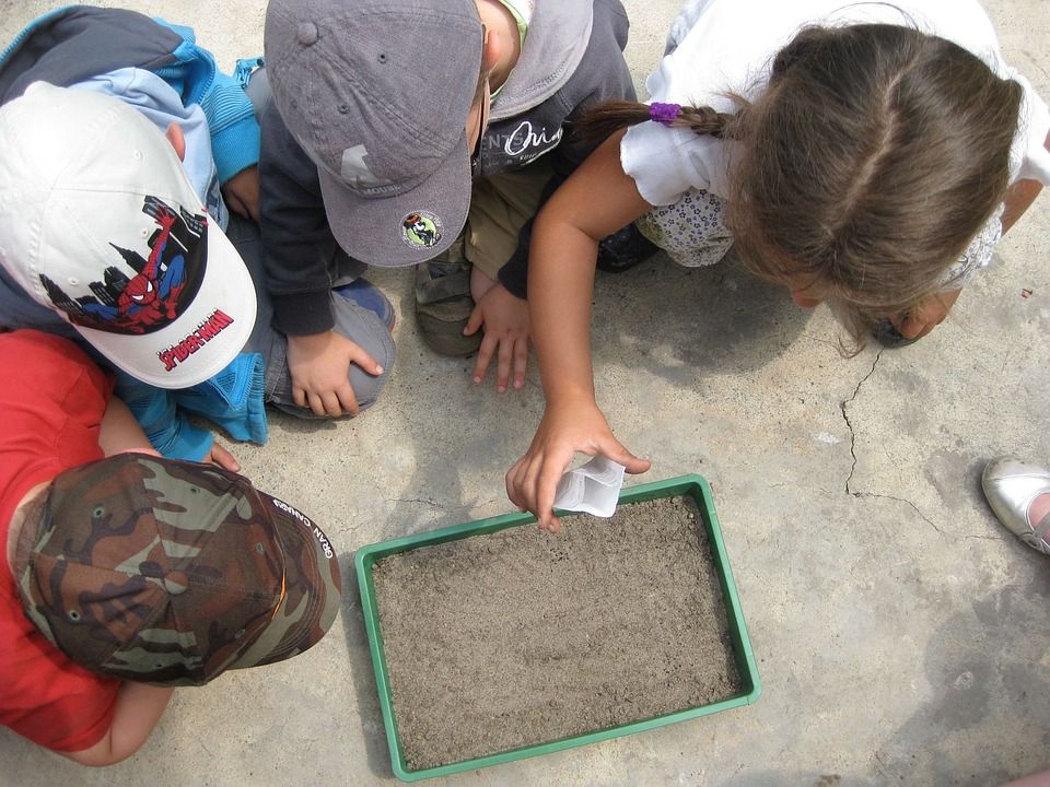 La Educación Ambiental: ¿Una Asignatura Más? 1