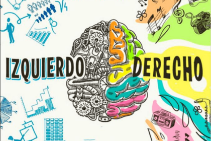 Hemisferios Del Cerebro