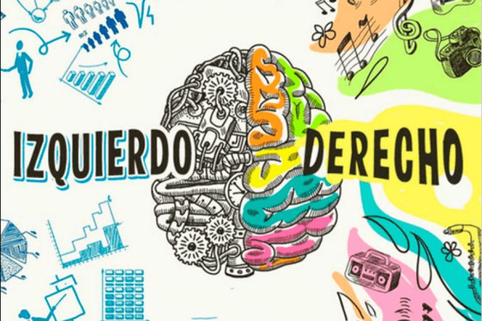 hemisferios del cerebro