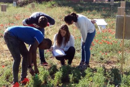 Crear Un Parque Agrícola