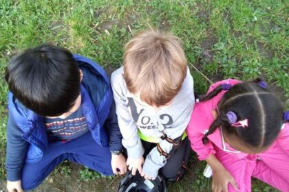 Educar En La Empatía