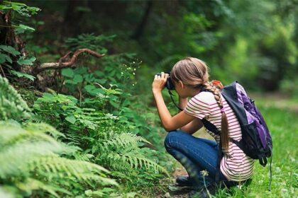 Naturaliza, El Programa Gratuito De Educación Ambiental Para Primaria