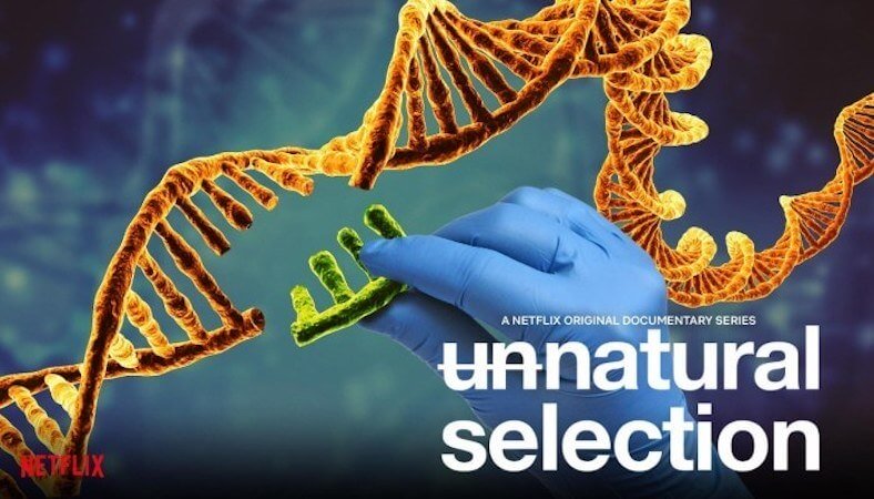 Series Ciencia Netflix