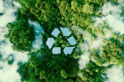 Libros Para Educar La Conciencia Ecológica