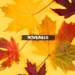 Fechas Clave De Noviembre