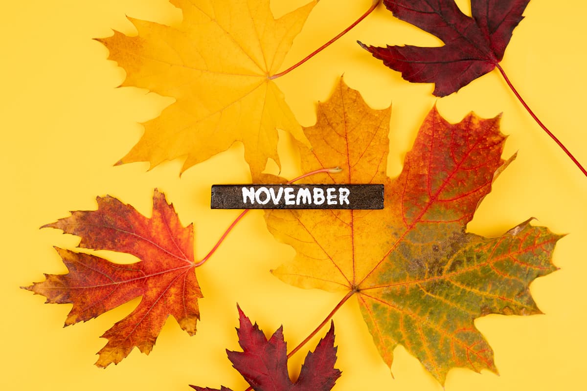 Fechas Clave De Noviembre