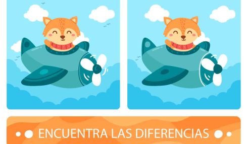 encuentra la diferencia