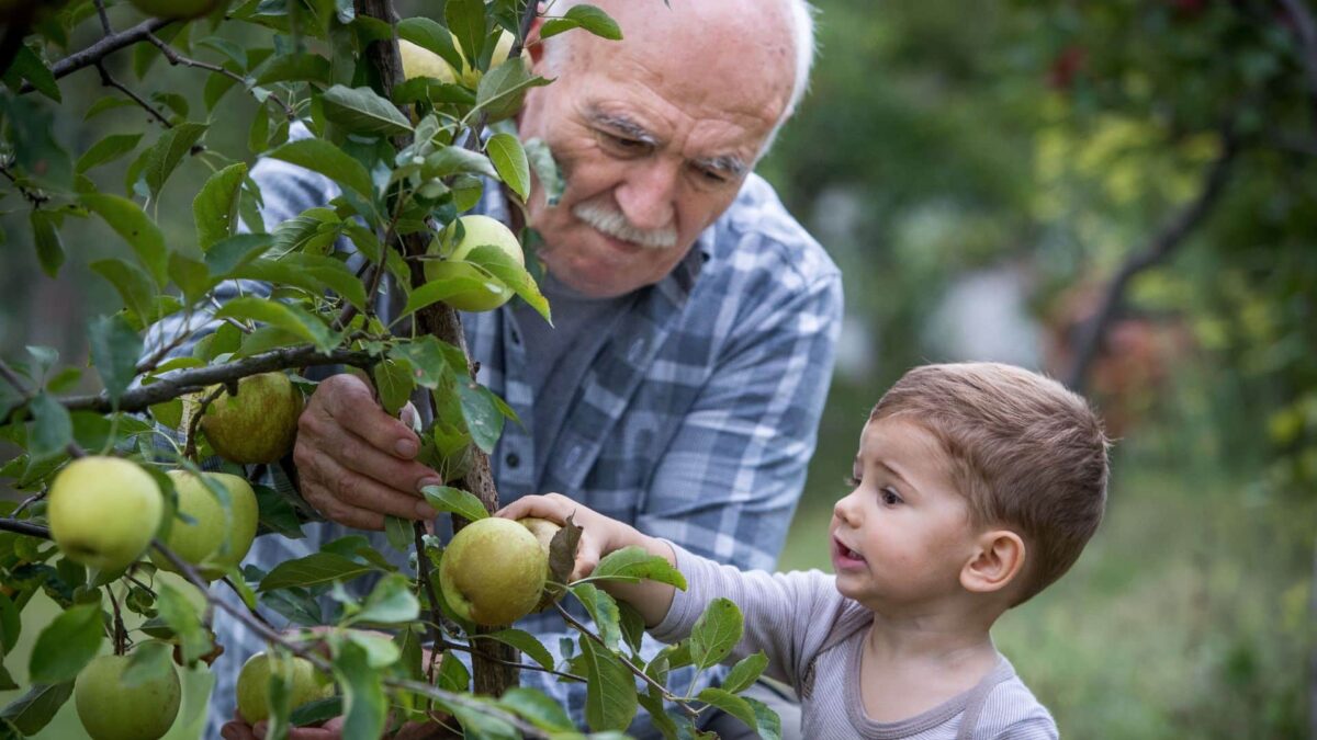 Juegos Para Nietos Y Abuelos ¡Diversion Entre Generaciones