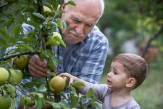 Juegos Para Nietos Y Abuelos ¡Diversion Entre Generaciones