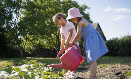 Beneficios de tener un huerto escolar