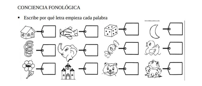 Fichas De Evaluación Inicial De Lengua