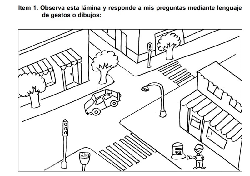 Fichas De Evaluación Inicial De Lengua