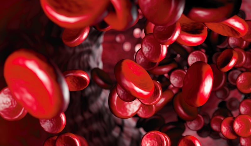 red blood cells artery flow inside body medical human health care background blood view microscope macro streaming red blood cells vein 3d rendering